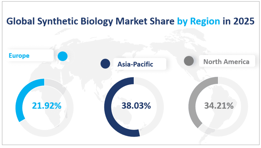 Global Synthetic Biology Market Share by Region in 2025
