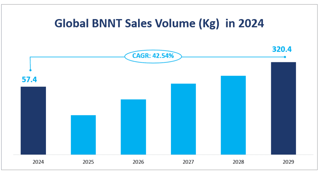 Global BNNT Sales Volume (Kg)  in 2024
