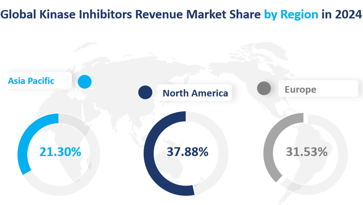 2024 年全球激酶抑制剂各区域收入市场份额