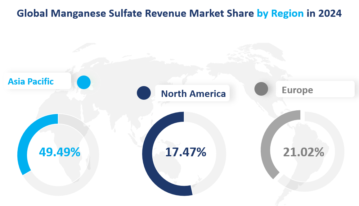2024 年全球硫酸锰收入市场份额（按地区）