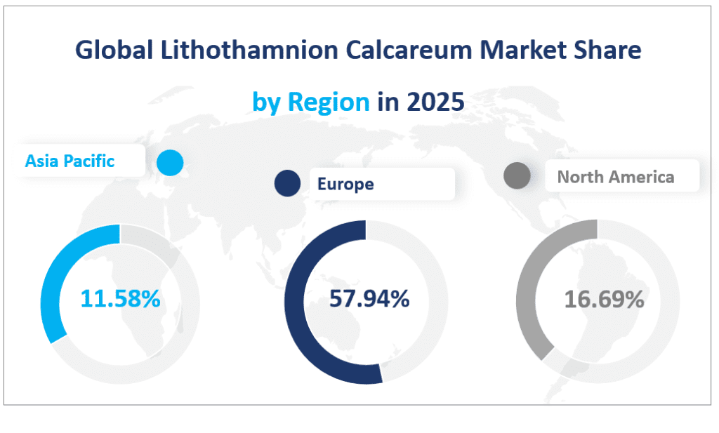 Global Lithothamnion Calcareum Market Share 
by Region in 2025
